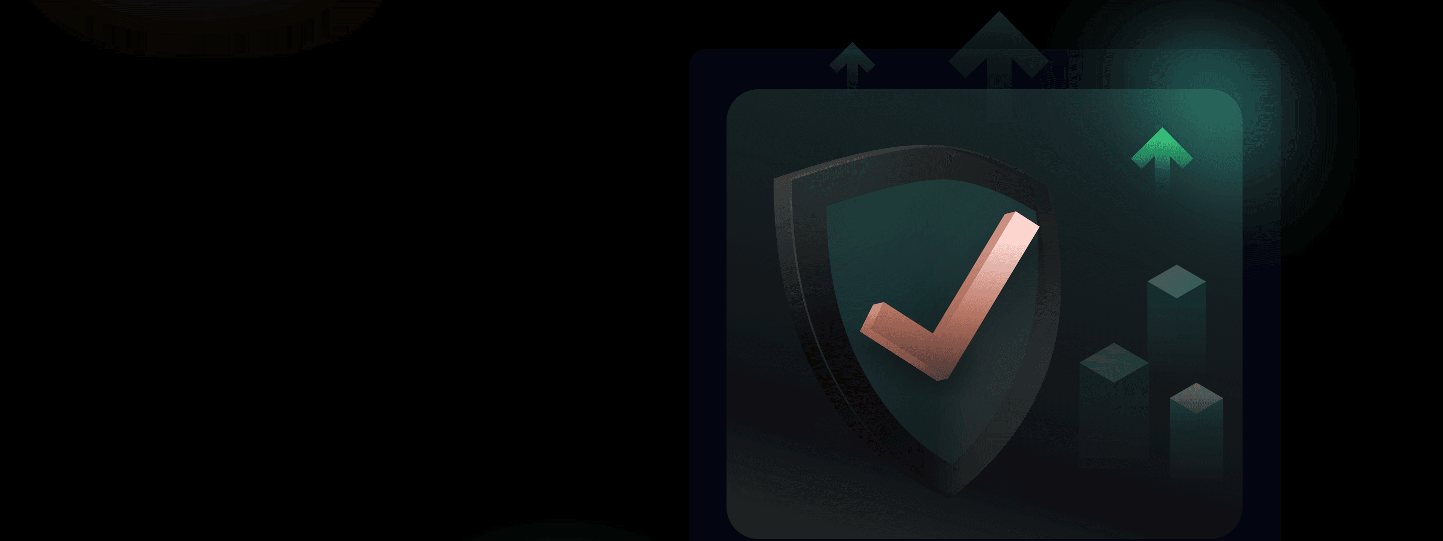 robust risk management