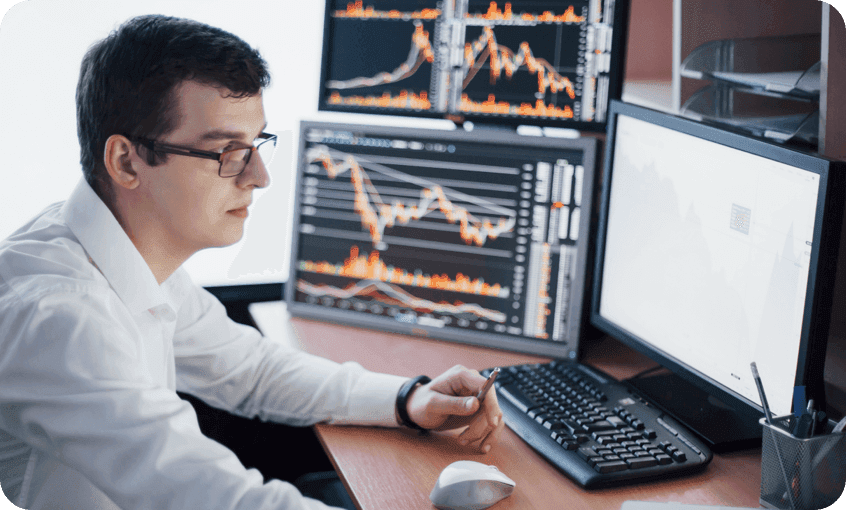 Diversified Whale Watchers