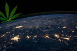 IM Cannabis Corp. Secures $2.17 Million in Debt Financing