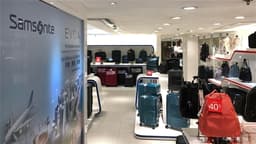 G Sachs Raises Target Price for SAMSONITE (01910.HK) to $22, Maintains Buy Rating