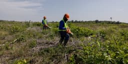 Brazil is Creating a Fertilizer Weapon for Trade Conflicts in the Amazon