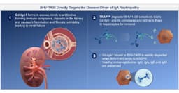 Biohaven Highlights Portfolio Progress at 44th Annual J.P. Morgan Healthcare Conference