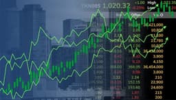 Inno Holdings Shares Surge 31.90% in After-Hours Trading