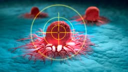 Hims & Hers Launches Multi-Cancer Early Detection Test