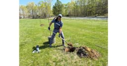 FirstEnergy Expands Tree Planting Initiative for Greener Communities