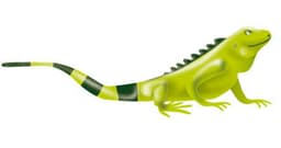 Ecopetrol Shareholders Elect Board Members for 2025-2029 Term