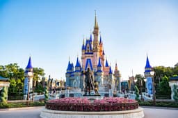 Disney's Earnings Report Triggers Stock Volatility