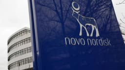 Novo Nordisk Shares Surge After Competitor Withdraws Drug