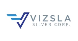 Vizsla Silver Reports Colleagues Found Deceased