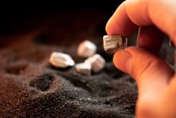 Vizsla Silver Shares Drop After Workers Found Deceased