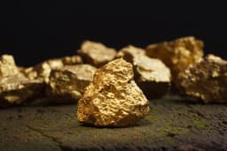 NovaGold Partners with Fluor to Advance Donlin Gold Project Feasibility Study