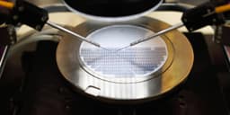 Multiple Companies Shine in After-Hours Trading