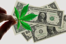 Cannabis Co. Grown Rogue Reports 7% Increase In Q3 Revenue, Focuses On New Jersey And Illinois Expansion