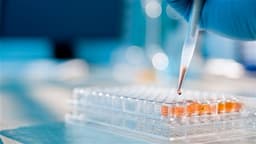 CMBI Increases WUXI XDC's Target Price to HKD88, Maintains Buy Rating; Strong Earnings Growth Anticipated