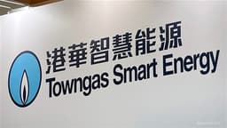 Citi Places TG SMART ENERGY on 30-Day Negative Catalyst Watch and Lowers Price Target to HKD4