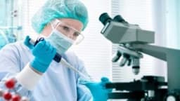 Tuesday Sector Leaders: Metals & Mining, Shipping Stocks