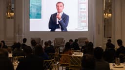 Investment Opportunities Amid Software Stock Slump