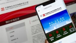 CH OVS G OCEANS Reports 43.7% Year-over-Year Decline in November Property Sales