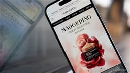 Citi Research: Proposed Reduction in Holdings by MAO GEPING's Controlling Shareholders and Executive Directors Expected to Generate Short-term Selling Pressure