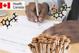 TripAdvisor Stock Plummets After Disappointing Earnings Report