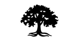 AVALON HOLDINGS CORPORATION ANNOUNCES FIRST QUARTER RESULTS