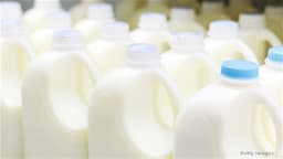 <Research>CLSA Keeps Outperform on YILI/ H&H INTL HLDG/ CHINA FEIHE; CN Childcare Subsidy Shows Clear Support Despite Limited Amt