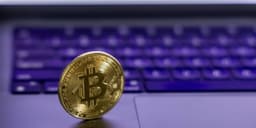 Maybe Bitcoin Is the New Digital Gold After All
