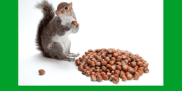 'Overzealous' investors are placing excessive bets on the U.S. stock market.