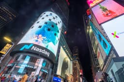 Majority of Stocks Bounce Back After Oracle's Sell-Off